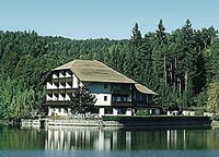 Hotel Am Wolfsgrubenersee