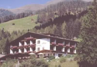 Hotel Alpi